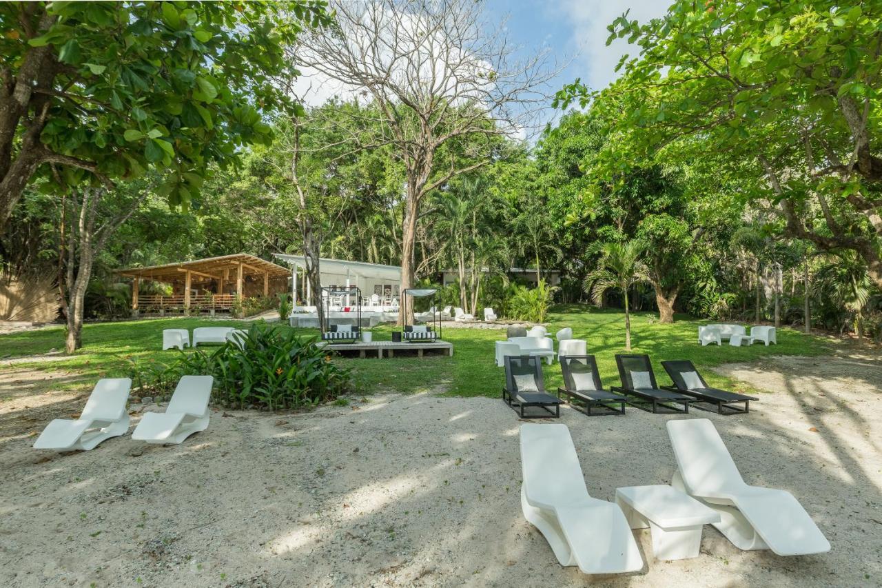Gigi Brown Beachfront Santa Teresa Malpais Luaran gambar